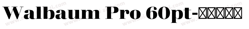 Walbaum Pro 60pt字体转换